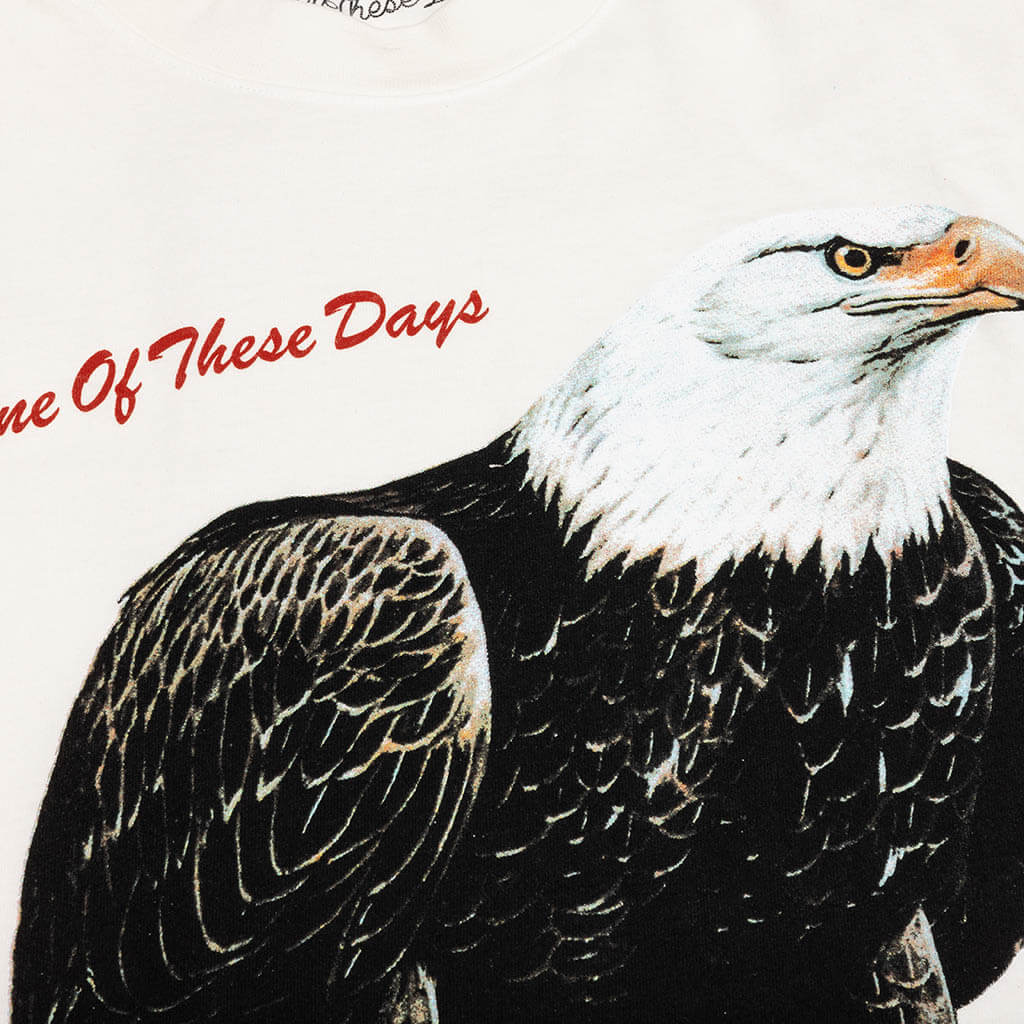 Bird Of Prey Tee - Bone - Image 3
