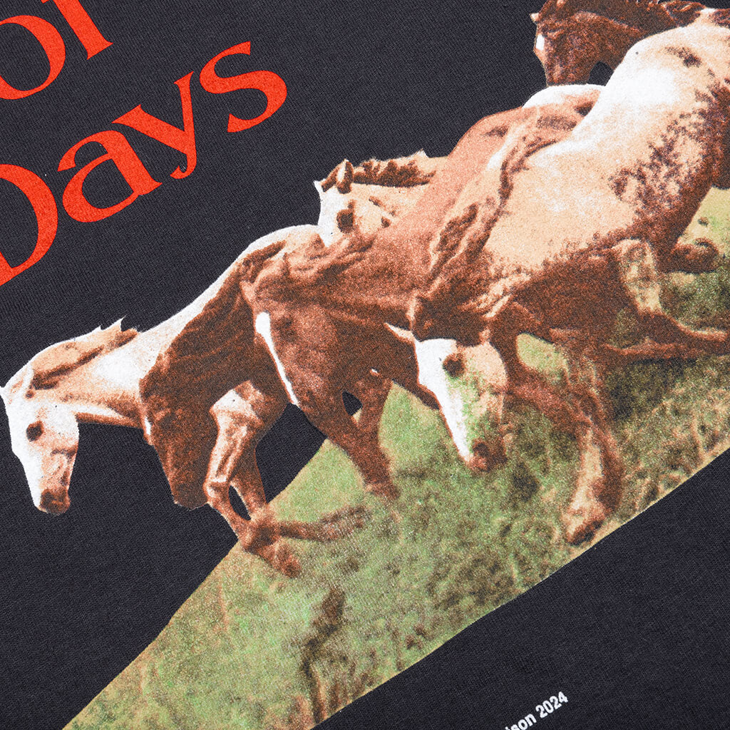 Wild Horses Short Sleeve T-Shirt - Washed Black - Image 3