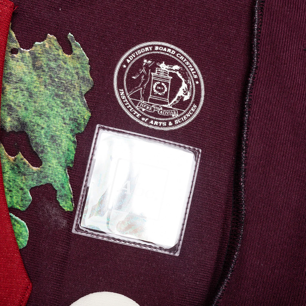 Planet Saving Information Fungi Edition 2: Critical Thought Mind Spores Hoodie - Brown - Image 4