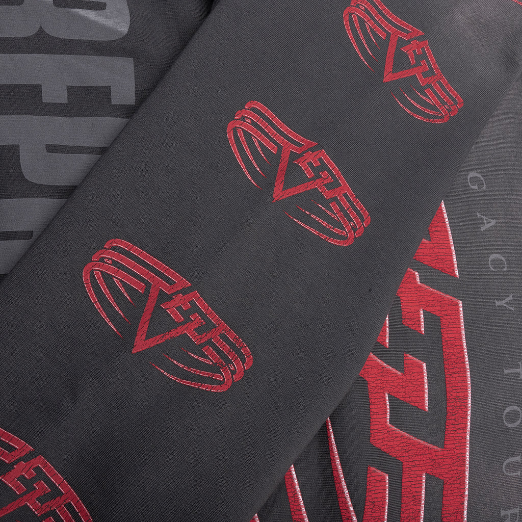 Living Legacy Tour Hoodie - Sun Fade Grey - Image 5