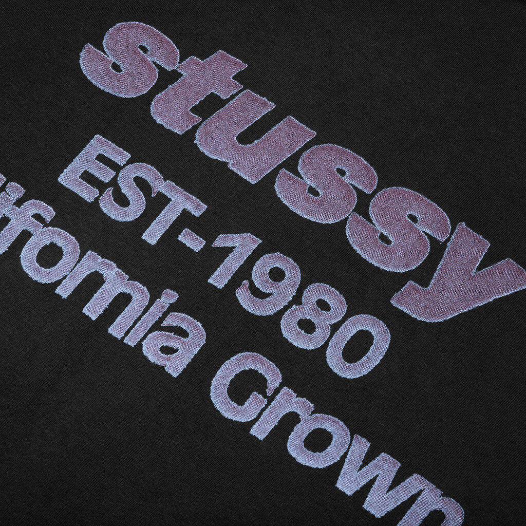 California Grown Pigment Dyed Tee - Black - Image 3